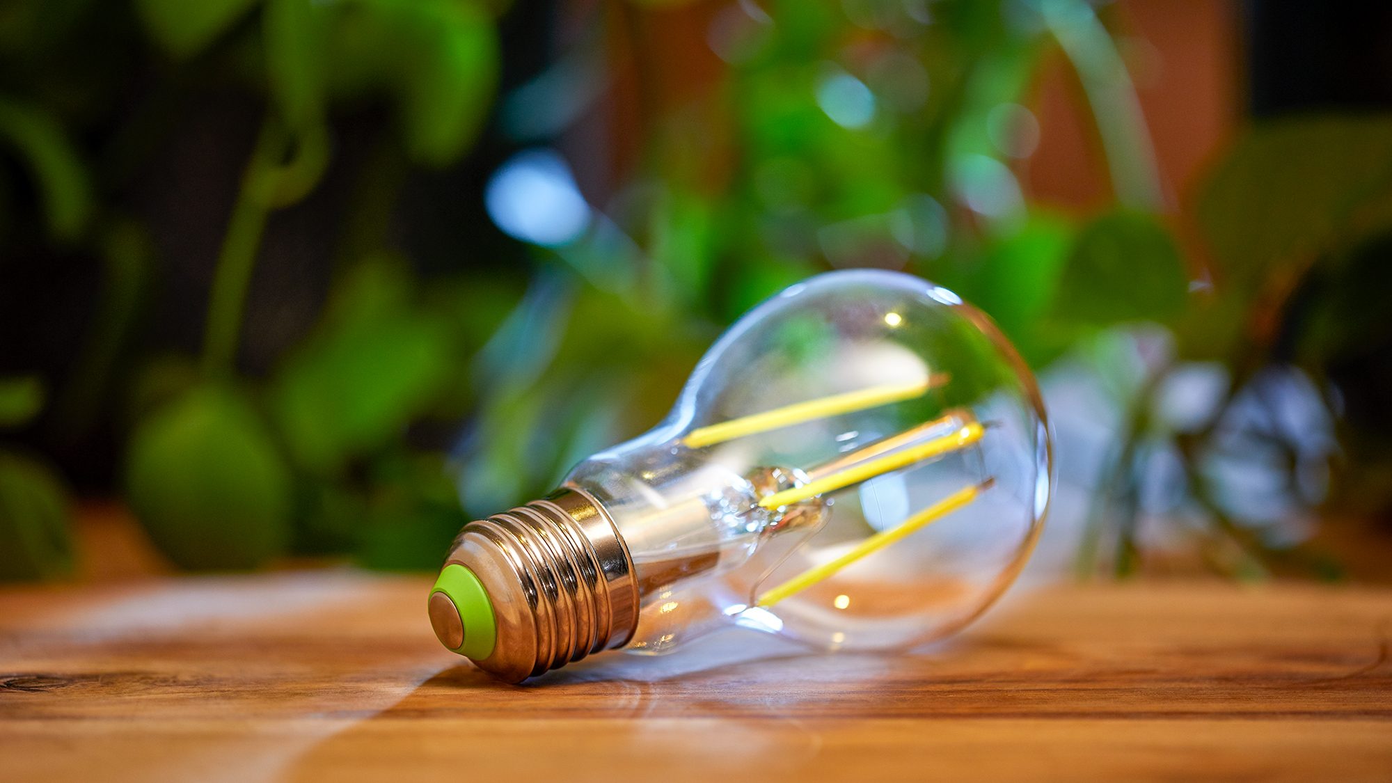 philips-led-classic-bulb